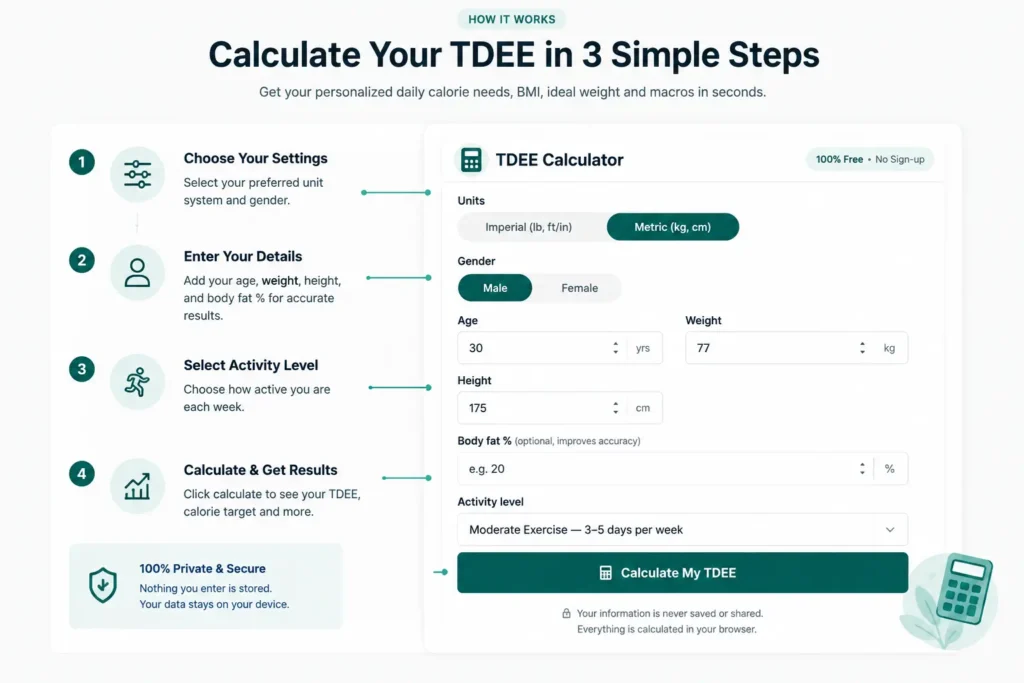 How TDEE Calculator works